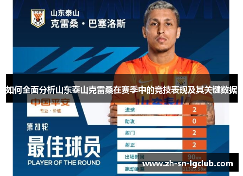 如何全面分析山东泰山克雷桑在赛季中的竞技表现及其关键数据