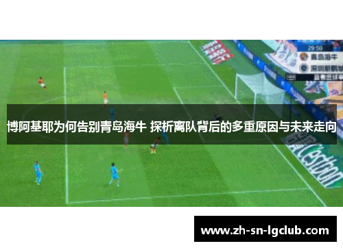 博阿基耶为何告别青岛海牛 探析离队背后的多重原因与未来走向 博阿基耶为何告别青岛海牛 探析离队背后的多重原因与未来走向