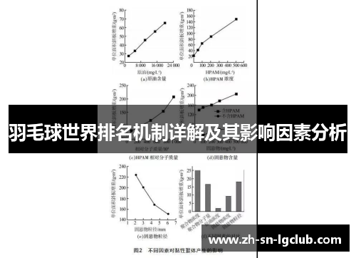 羽毛球世界排名机制详解及其影响因素分析 羽毛球世界排名机制详解及其影响因素分析