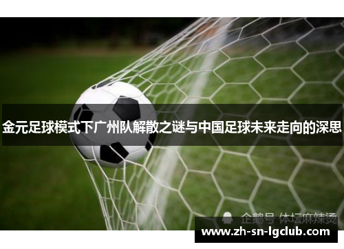 金元足球模式下广州队解散之谜与中国足球未来走向的深思