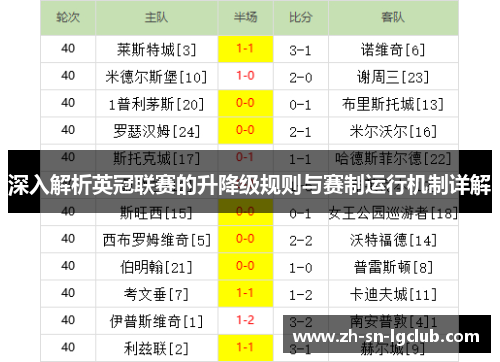 深入解析英冠联赛的升降级规则与赛制运行机制详解 深入解析英冠联赛的升降级规则与赛制运行机制详解