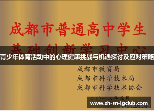 青少年体育活动中的心理健康挑战与机遇探讨及应对策略
