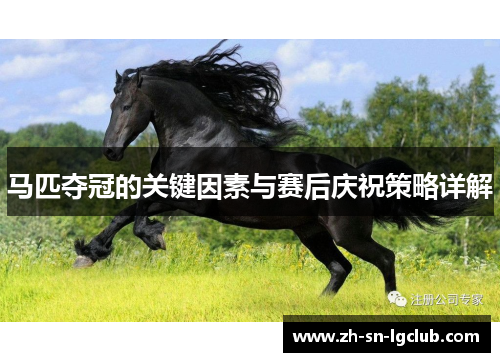 马匹夺冠的关键因素与赛后庆祝策略详解
