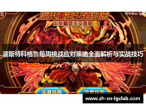 波斯特科格鲁每周挑战应对策略全面解析与实战技巧